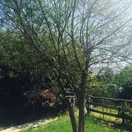 アパートホテル Lara Apart *